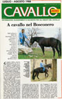 Cavallo News